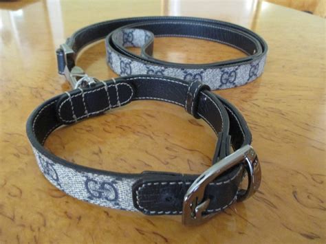 gucci pink cat|gucci dog collars and leashes.